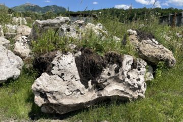 Известняк степной - природный камень от производителя